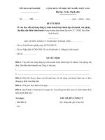 Mẫu quyết định của Công ty trách nhiệm hữu hạn 1 thành viên