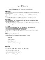 bài giảng Tấm Cám, ngữ văn 10