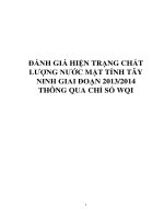 ĐÁNH GIÁ HIỆN TRẠNG CHẤT LƯỢNG NƯỚC MẶT TỈNH TÂY NINH GIAI ĐOẠN 20132014 THÔNG QUA CHỈ SỐ WQI