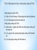 BÀI 4 BIỆN PHÁP BẢO ĐẢM VÀ BIỆN PHÁP CƯƠNG CHẾ THA