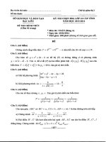 ĐỀ THI + HƯỚNG DẪN CHẤM HSG LỚP 10 NĂM  (2013 2014)