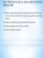 BÀI 3 THI HÀNH án dân sự TRONG một số TRƯỜNG hợp đặc BIỆT