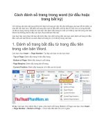 Cách đánh số trang trong word