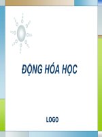 Giáo án BSĐK YHN động hóa học 