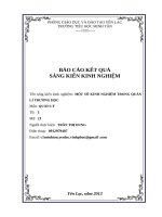 Sáng Kiến Kinh Nghiệm Một Số Kinh Nghiệm Trong Quản Lí Trường Học