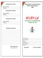 mau so lien lac vnen