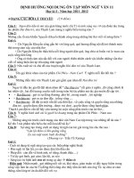 dinh huong noi dung on tap mon ngu van 11 