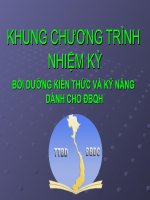 BỒI DƯỠNG KIẾN THỨC VÀ KỸ NĂNG DÀNH CHO ĐBQH