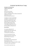 Lời bài hát Xanh Mãi - Hà Anh Tuấn, Xuân Lân