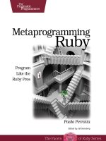 1934356476 {619DC685} metaprogramming ruby  program like the ruby pros perrotta 2010 02 25 