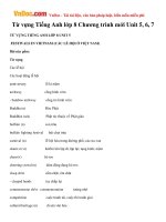 Từ vựng Tiếng Anh lớp 8 Chương trình mới Unit 5, 6, 7