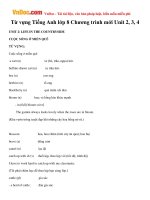 Từ vựng Tiếng Anh lớp 8 Chương trình mới Unit 2, 3, 4