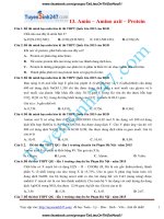 14  226 bài tập chuyên đề amin   amino axit   protein 