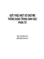 TÀI LIỆU THỰC TẬP SINH HỌC PHÂN TỬ