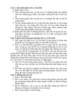 Tiều Liệu Ôn Thi Môn QUẢN TRỊ RỦI RO TRONG KINH DOANH