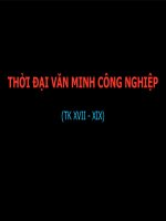 Lịch sử văn minh thế giới: Thời đại văn minh công nghiệp