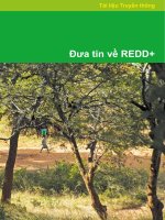 Tài Liệu Hướng Dẫn Dành Cho Báo Giới Về Vai Trò Của Rừng Trong Cuộc Chiến Chống Biến Đổi Khí Hậu