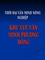 Lịch sử văn minh thế giới: Thời đại văn minh nông nghiệp