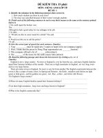 DE ON THI HK 1  ANH VAN 10