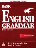 Basic english grammar