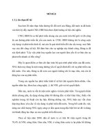 Nguồn nhân lực nông thôn trong quá trình công nghiệp hóa, hiện đại hóa ở Việt Nam hiện nay