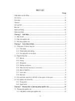 Nghiên cứu chế biến bánh nướng từ khoai lang tím 