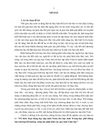 “Tổ chức hoạt động học tập môn Toán cho học sinh Trung học phổ thông theo hướng bồi dưỡng  năng lực phát hiện các quy luật Toán học