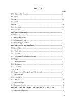 Nghiên cứu chế biến sản phẩm jam thuốc dòi   nha đam 