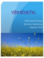 Bài Giảng Viêm Mũi Dị Ứng