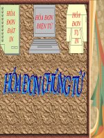 Hướng dẫn sử dụng hóa đơn chứng từ