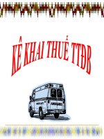 Hướng dẫn kê khai thuế Tiêu thụ đặc biệt