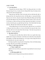 Đề Tài Rèn Kỹ Năng “ Giải Toán Tìm Quy Luật Của Một Dãy Số ” Cho Học Sinh Lớp 6