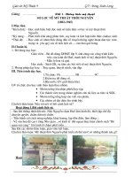 Giáo án mỹ thuật 9 