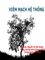 Bài Giảng Viêm Mạch Y Hà Nội