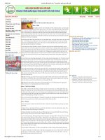 Luật thi đấu quần vợt