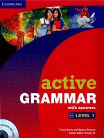 Active grammar with answers level a1 