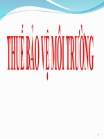 BAI GIANG THUE BAO VE MOI TRUONG