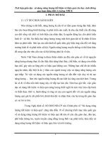 SKKN DOI tich hop  su dung nang luong hieu qua vao HD doi 2016