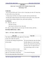 Giáo án mĩ thuật lớp 5 chi tiết đầy đủ theo phương pháp đan mạch