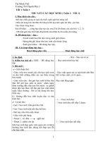 Giáo án tập đọc lớp 5  học kỳ I chi tiết đầy đủ