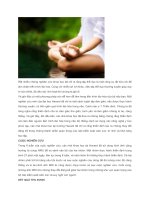 KHOA học đã CHỨNG MINH  THIỀN ĐỊNH GIÚP bộ não LUÔN tươi TRẺ (và HƯỚNG dẫn CHO NGƯỜI mới bắt đầu)