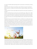 BẠN ĐANG cảm THẤY KHÔNG HẠNH PHÚC hãy THAY đổi NIỀM TIN của MÌNH