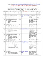 giáo án theo chủ đề văn 12