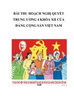 Bài thu hoạch nghị quyết trung ương 4 khóa XII của Đảng