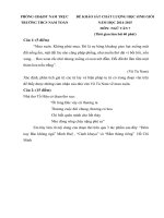 Đề thi học sinh giỏi môn Ngữ văn lớp 7 năm học 2014 - 2015 trường THCS Nam Toàn, Nam Định