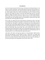 Phân tích thực trạng tình thế marketing và truyền thông của công ty VINACAFE với chương trình truyền thông ‘yêu thương thành lời’ (dịp tết năm 2015)