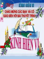 Bai 33 Kinh hien vi ban chuan