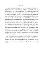 Phân tích và đánh giá mức độ đáp ứng của chương trình quảng cáo “yêu thương thành lời” của vinacafe với mục tiêu marketing, môi trường truyền thông marketing, tình thế marketing của công ty