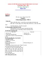 Giáo án mĩ thuật đan mạch mới nhất năm học 2016   2017 từ lớp 1 đến lớp 5 (học kỳ 1)