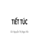 Bài giảng Thực hành Vi sinh  Ký sinh trùng: Tiết túc  GV. Nguyễn Thị Ngọc Yến